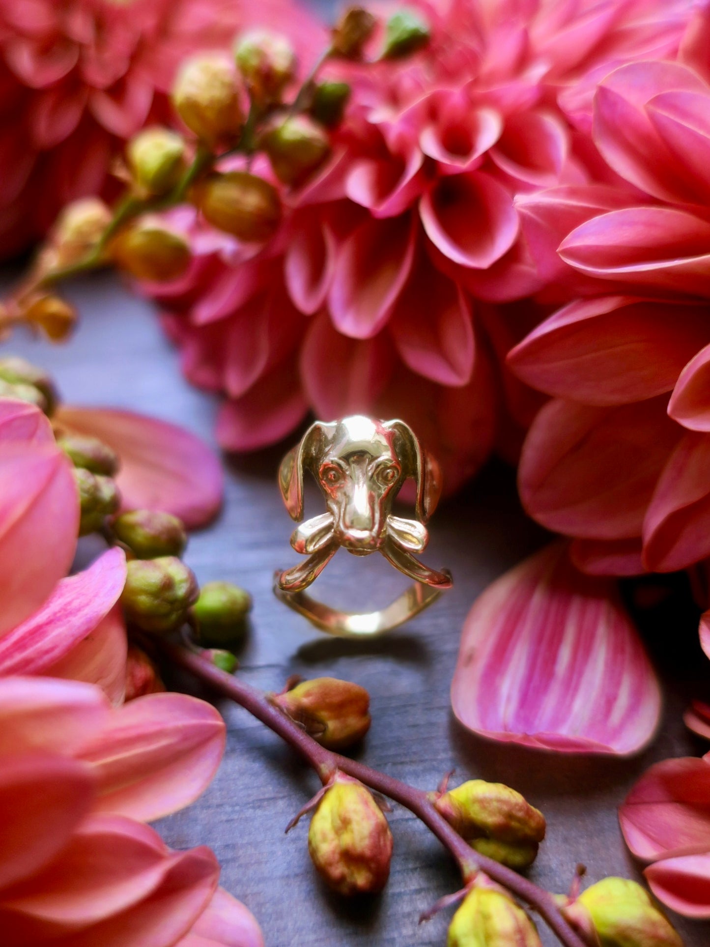 “Gift” dog ring/ gold