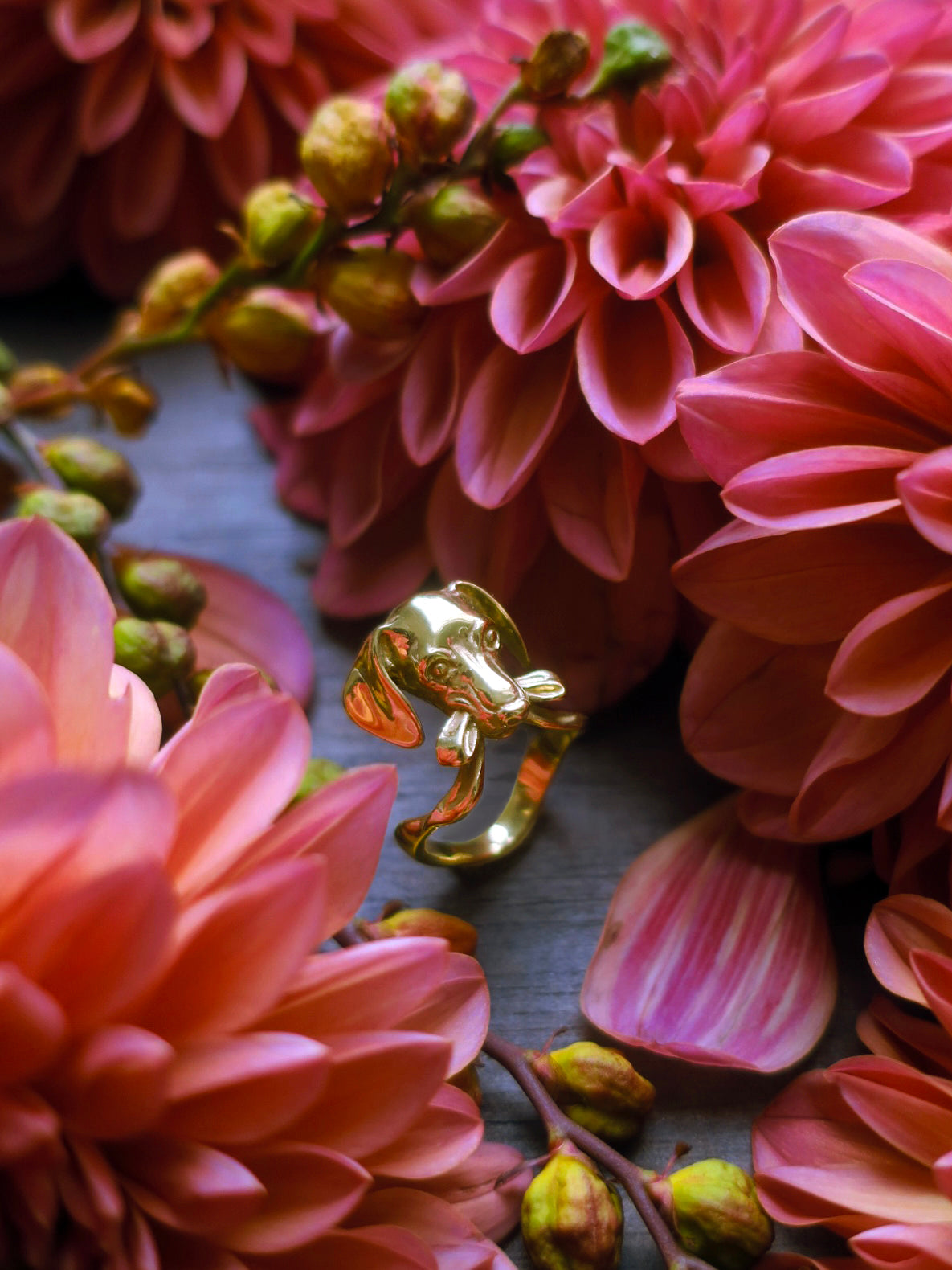 “Gift” dog ring/ gold