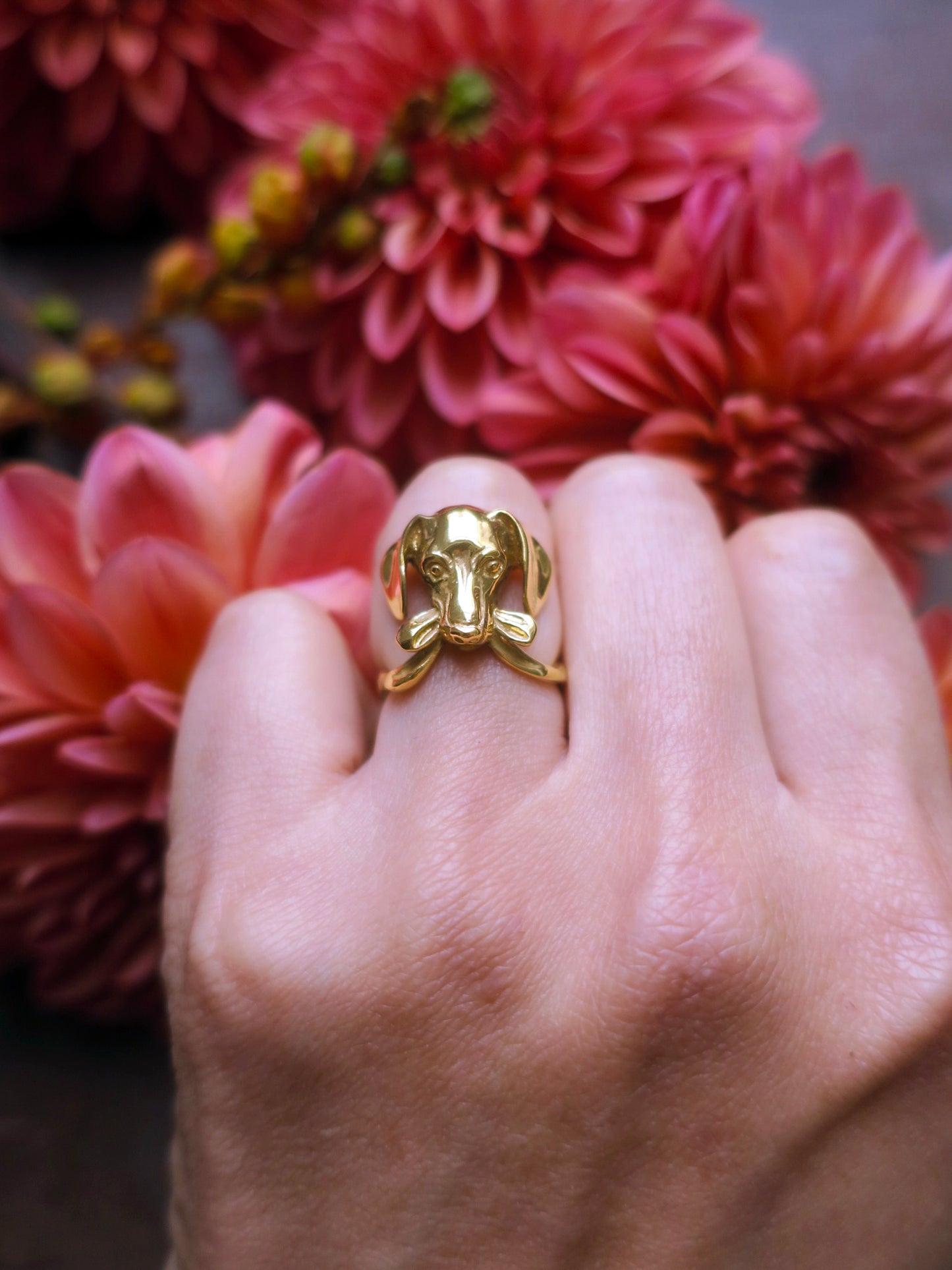 “Gift” dog ring/ gold