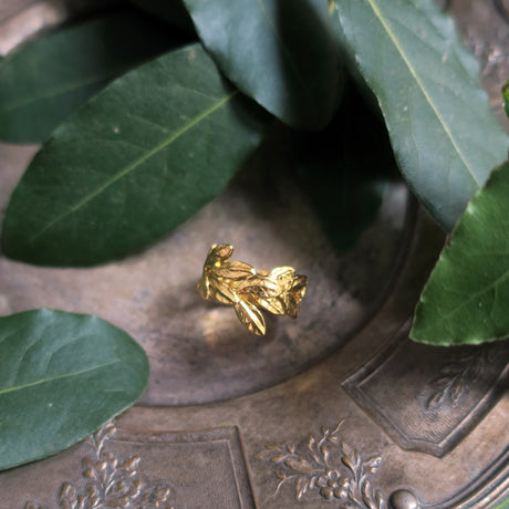 " Daphné" ring / gold