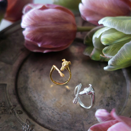 bague de gardien/or