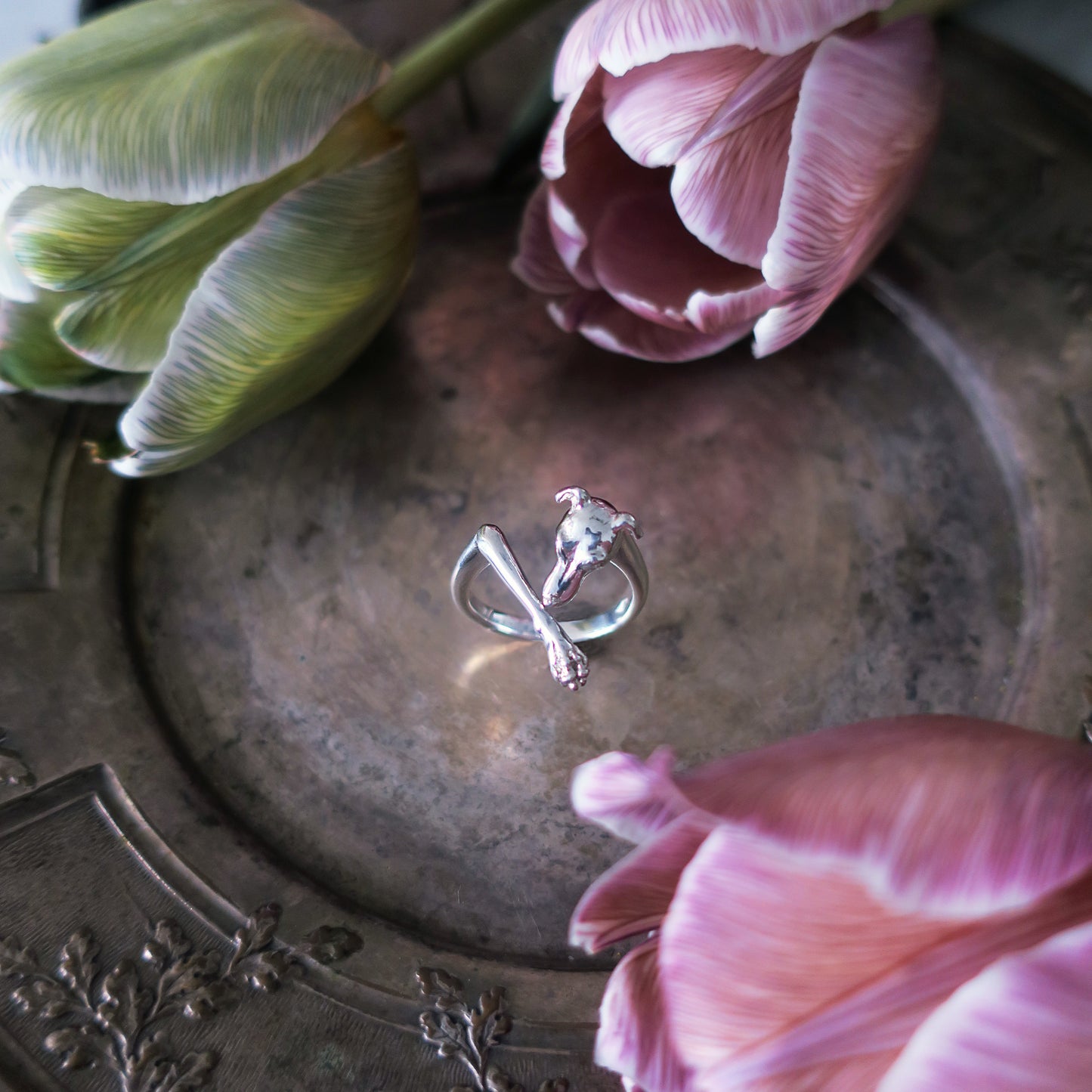 bague de gardien / argent