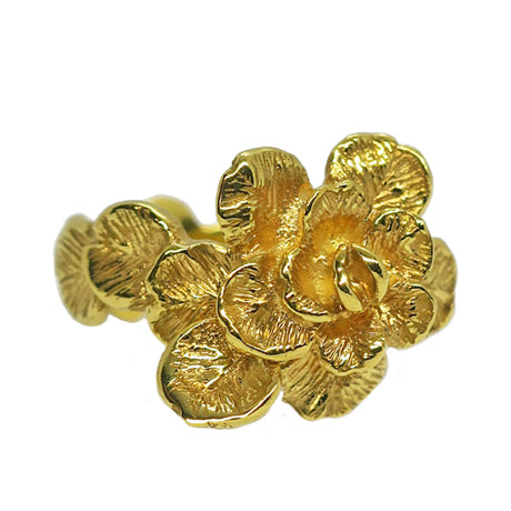 Bague "La vanité" / or