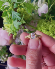 Load and play video in Gallery viewer, lichen ring/ gold
